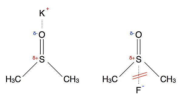 asdf