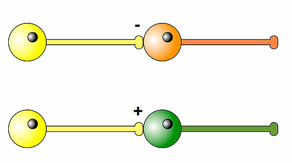 Verschaltung von zwei Nervenzellen, schematisch