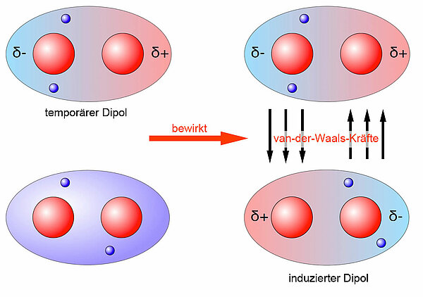 Zwei H2-Moleküle ziehen sich gegenseitig an. Der temporäre Dipol (oben gezeichnet) bewirkt einen induzierten Dipol (unten dargestellt)