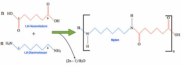 Bildung von Nylon durch Polykondensation