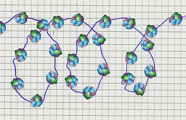 Die 30nm Faser