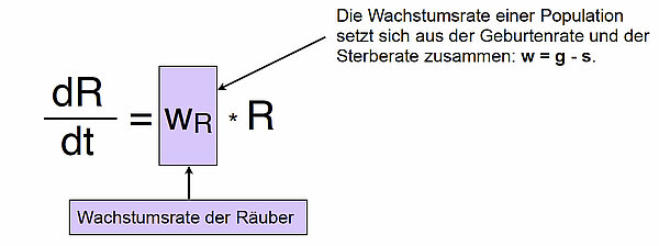 dR/dt = wR * R