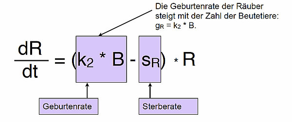 dR/dt = (k2*B - sR) * R