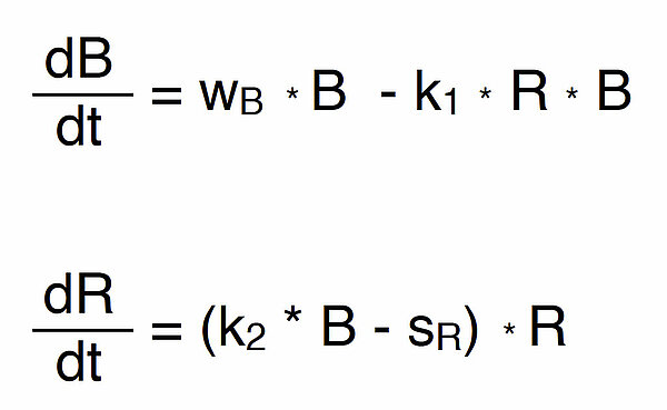 Beide Differentialgleichungen hängen zusammen.