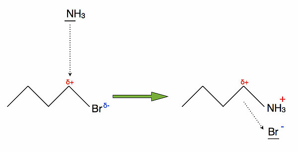 C4H9-Br + NH3 ===> C4H9-NH3+ Br-