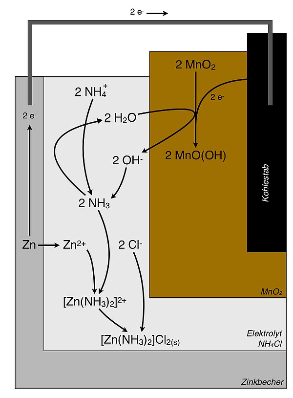 Schema der gesamten Reaktionen