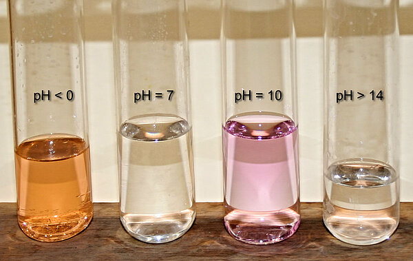 Die vier Farbstufen des Phenolphthaleins