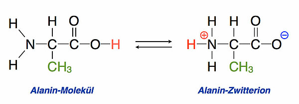 Das Alanin-Molekül / das Alanin-Zwitterion