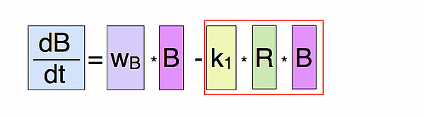 db/dt = wB * B - k1 * R * B