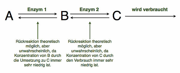 A <==> B <==> C ---> wird verbraucht