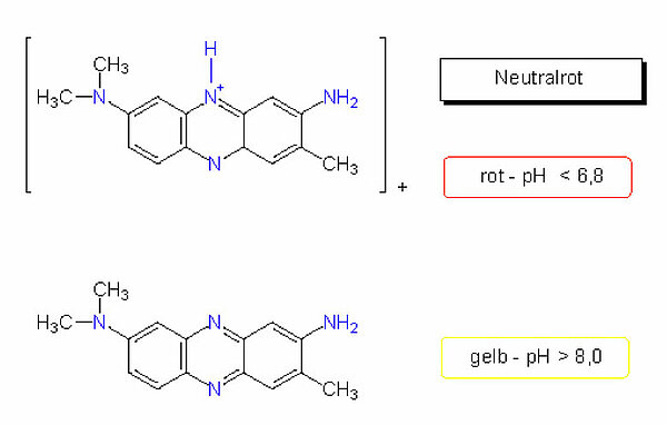 Das Neutralrot-Molekül und das entsprechende Ion; Strukturformeln