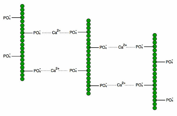 Eine ganz naive Vorstellung der submicellären Strukturen