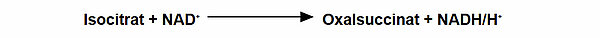 Isocitrat + NAD+ ==> Oxalsuccinat + NADH/H+