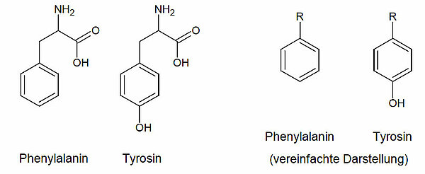 Strukturformeln von Phenylalanin und Tyrosin sowie die vereinfachte Darstellung, damit auch jeder merkt, dass Tyrosin eine zusätzliche OH-Gruppe hat.