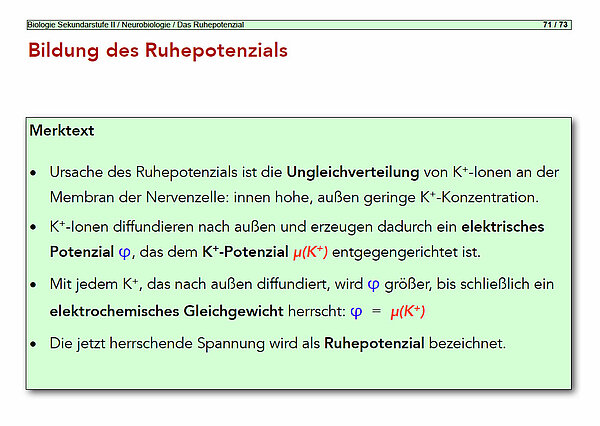 siehe folgenden Text