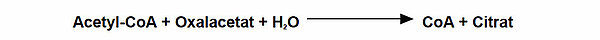 Acetyl-CoA + Oxalacetat + H2O ==> CoA + Citrat