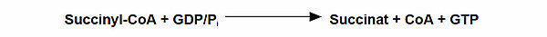 Succinyl-CoA + GDP/Pi ==> Succinat + CoA + GTP