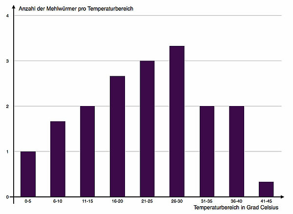 Auswertung der Ergebnisse mit einem Balkendiagramm