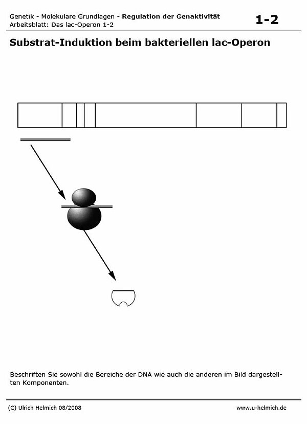 asdf
