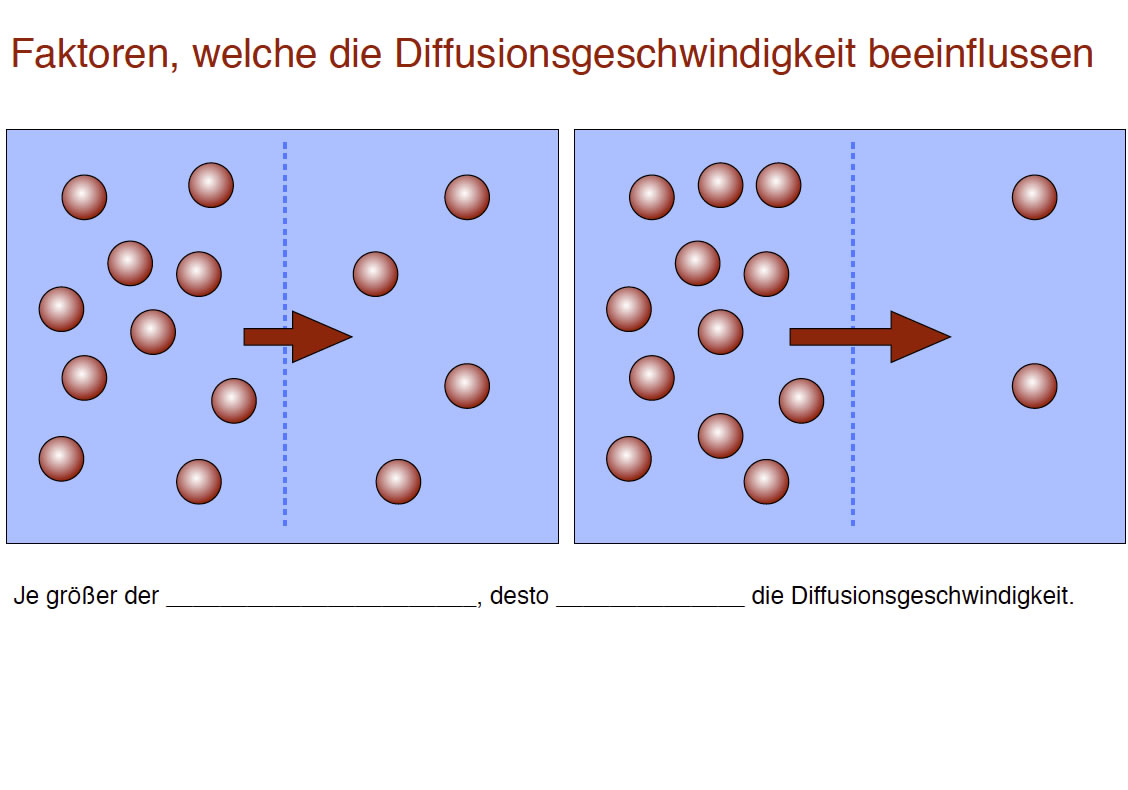 Präsentation