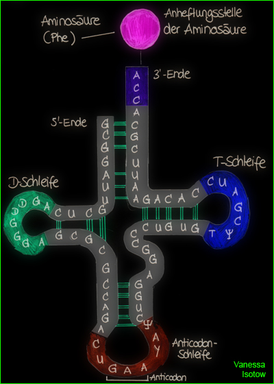 asdf